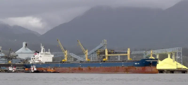 TANZANITE Bulk Carrier IMO 9456147 photo 9