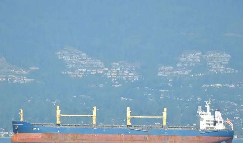TANZANITE Bulk Carrier IMO 9456147 photo 10