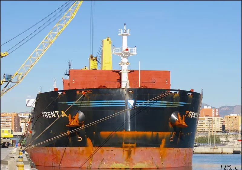 TRENTA Bulk Carrier IMO 9456159 photo 4