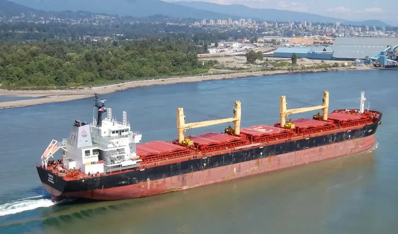 TRENTA Bulk Carrier IMO 9456159 photo 32