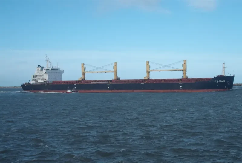 DAISY OCEAN Bulk Carrier IMO 9456226 photo 5