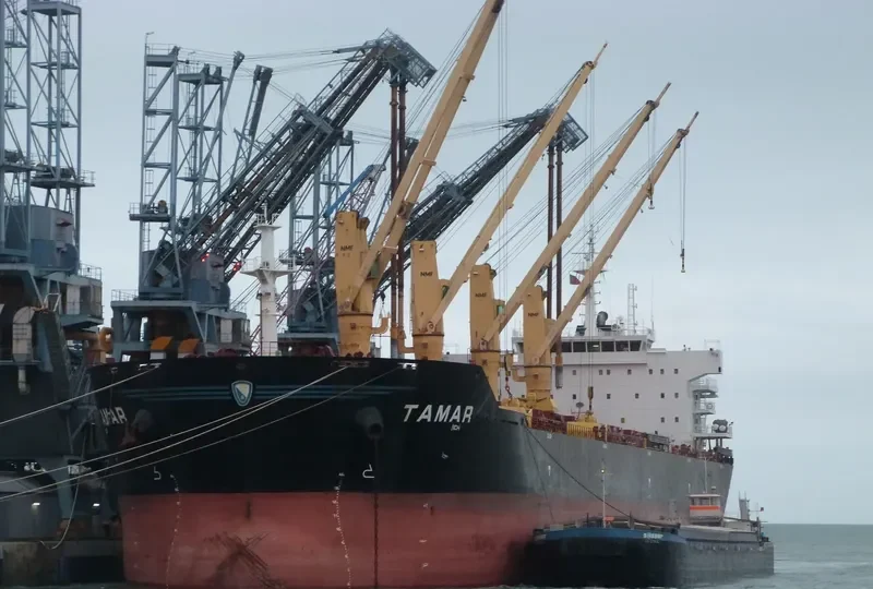 DAISY OCEAN Bulk Carrier IMO 9456226 photo 7