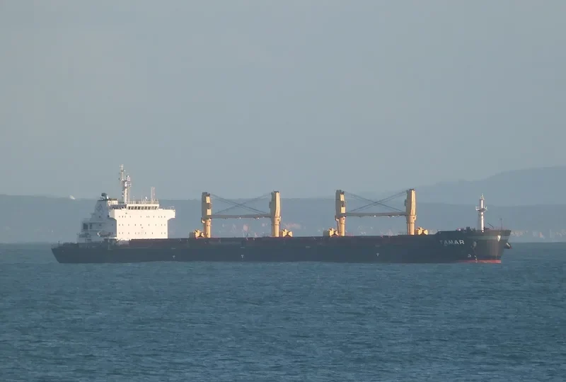 DAISY OCEAN Bulk Carrier IMO 9456226 photo 9