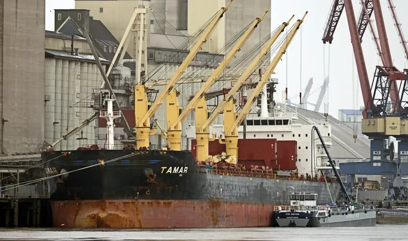 DAISY OCEAN Bulk Carrier IMO 9456226 photo 10