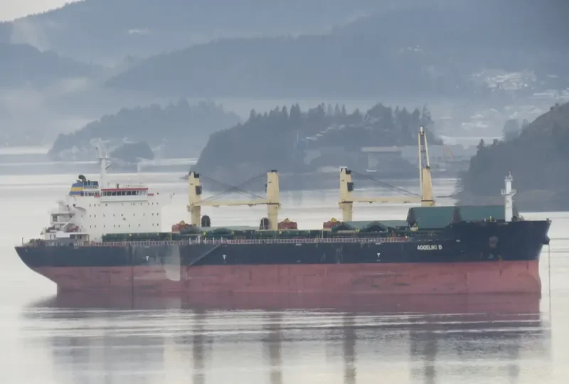 AGGELIKI B Bulk Carrier IMO 9456238