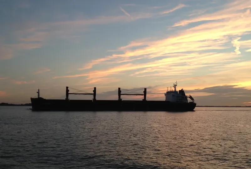 AGGELIKI B Bulk Carrier IMO 9456238 photo 8
