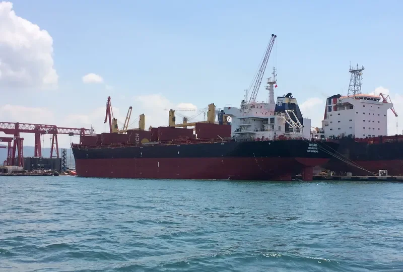 ALRAYAN Bulk Carrier IMO 9456240