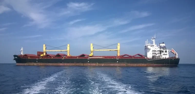 ALRAYAN Bulk Carrier IMO 9456240 photo 4