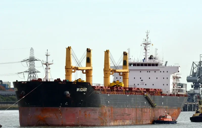 ALRAYAN Bulk Carrier IMO 9456240 photo 6