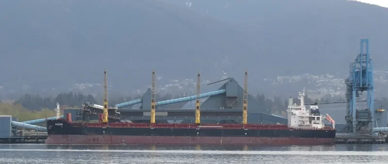 ALRAYAN Bulk Carrier IMO 9456240 photo 7
