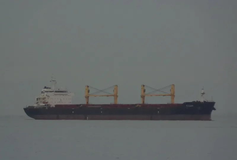 ALRAYAN Bulk Carrier IMO 9456240 photo 9