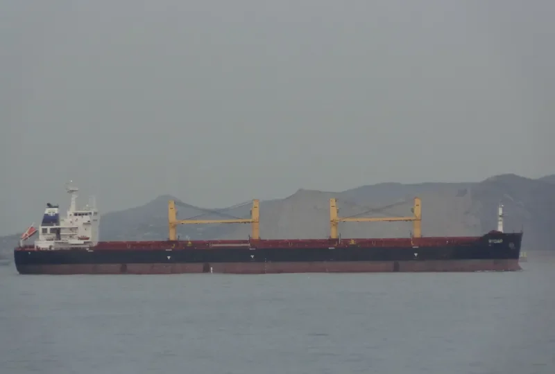 ALRAYAN Bulk Carrier IMO 9456240 photo 10