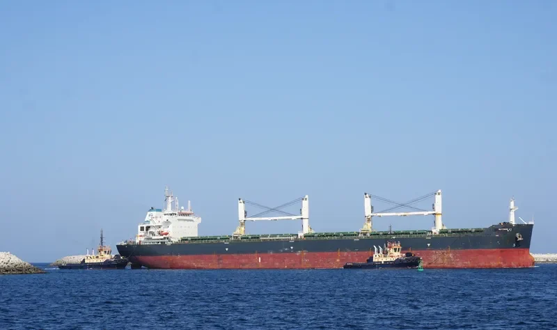 JY PROGRESS Bulk Carrier IMO 9456331