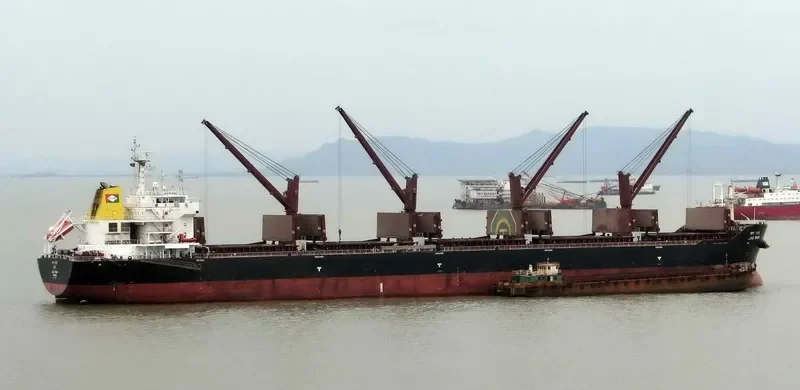 JAG RANI Bulk Carrier IMO 9456355 photo 4