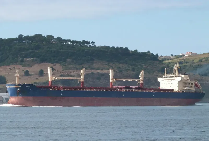 PISTI Bulk Carrier IMO 9456367 photo 4