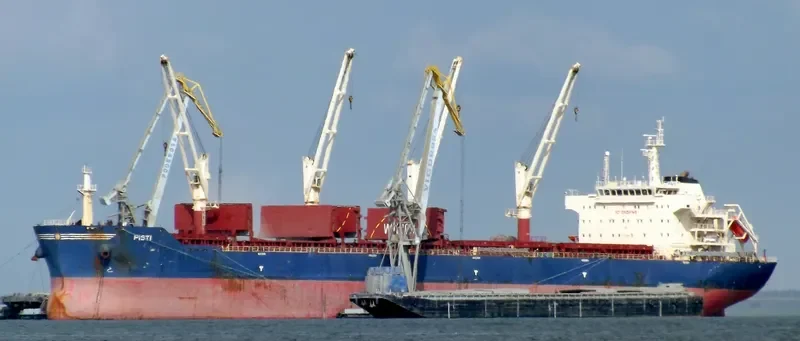 PISTI Bulk Carrier IMO 9456367 photo 7