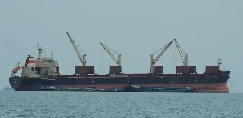 XIANG CHENG SHAN Bulk Carrier IMO 9456410 photo 3