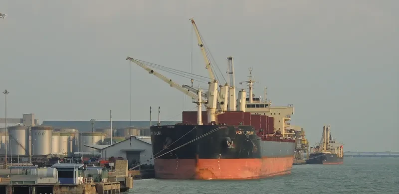 XIANG CHENG SHAN Bulk Carrier IMO 9456410 photo 6