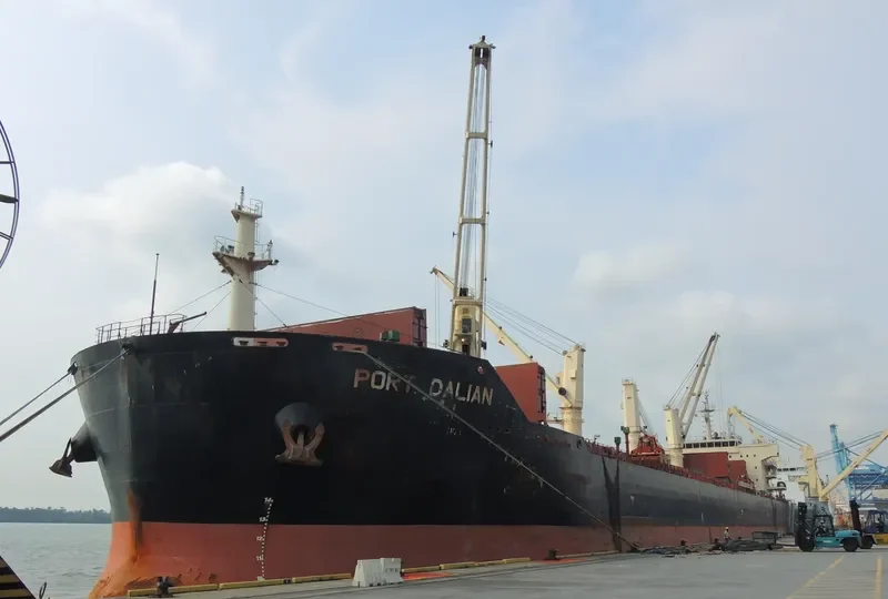 XIANG CHENG SHAN Bulk Carrier IMO 9456410 photo 7