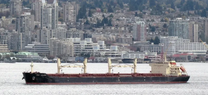 XIANG CHENG SHAN Bulk Carrier IMO 9456410 photo 8