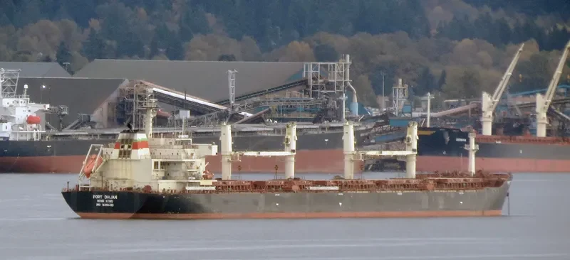 XIANG CHENG SHAN Bulk Carrier IMO 9456410 photo 9