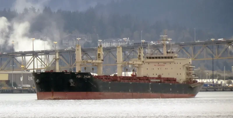 XIANG CHENG SHAN Bulk Carrier IMO 9456410 photo 10