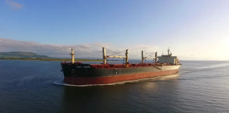 JI CHENG SHAN Bulk Carrier IMO 9456422