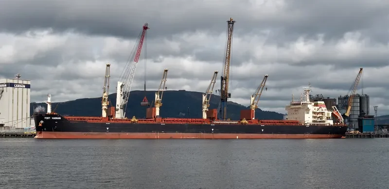 JI CHENG SHAN Bulk Carrier IMO 9456422 photo 6