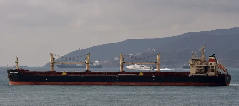 JI CHENG SHAN Bulk Carrier IMO 9456422 photo 7