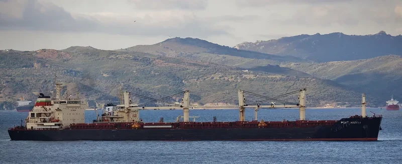 JI CHENG SHAN Bulk Carrier IMO 9456422 photo 9