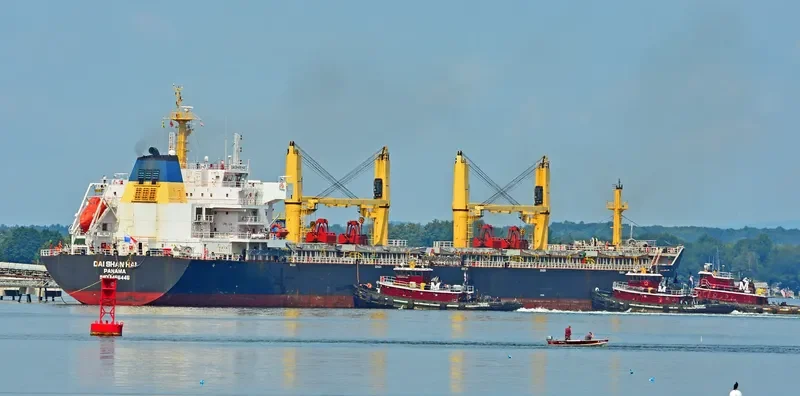 DAI SHAN HAI Bulk Carrier IMO 9456446