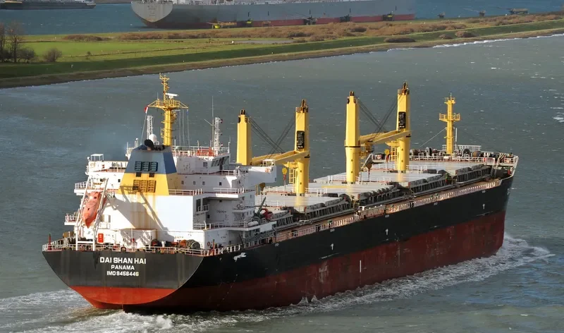 DAI SHAN HAI Bulk Carrier IMO 9456446 photo 6