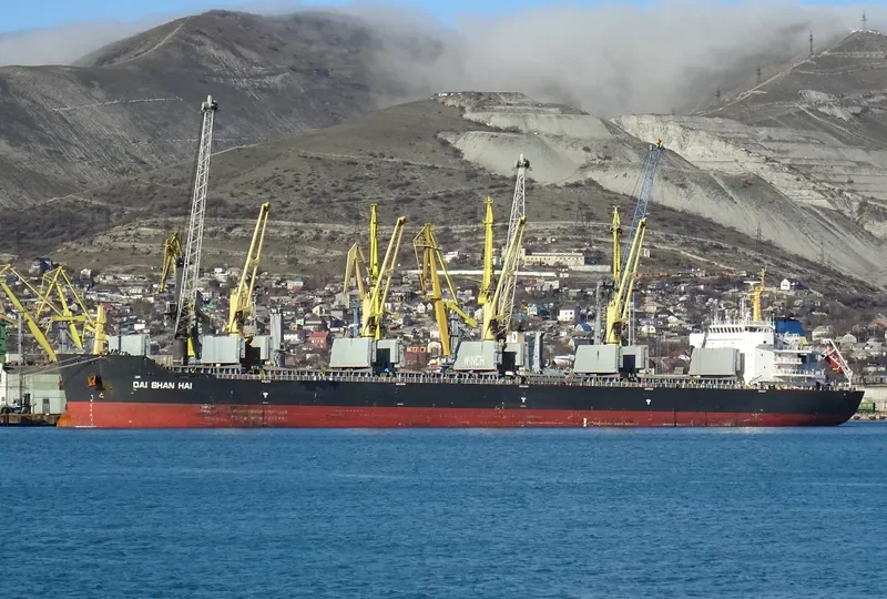 DAI SHAN HAI Bulk Carrier IMO 9456446 photo 7