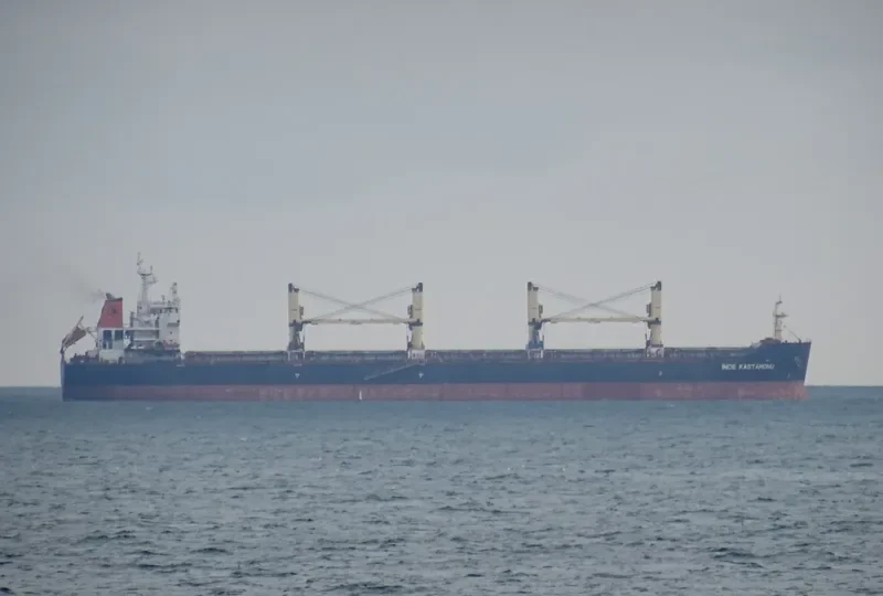 INCE KASTAMONU Bulk Carrier IMO 9456458