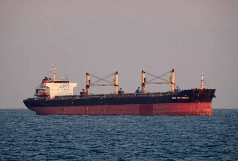 INCE KASTAMONU Bulk Carrier IMO 9456458 photo 2