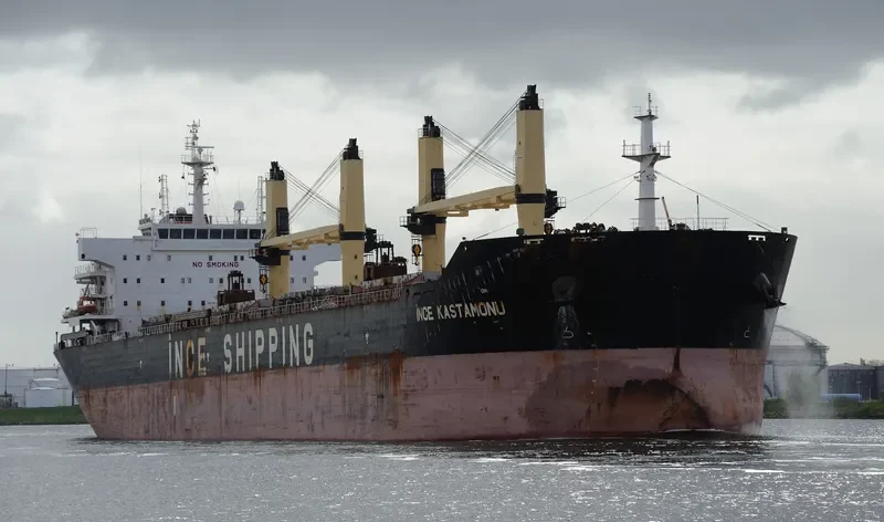 INCE KASTAMONU Bulk Carrier IMO 9456458 photo 10