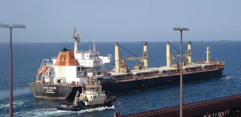 INCE AKDENIZ Bulk Carrier IMO 9456460
