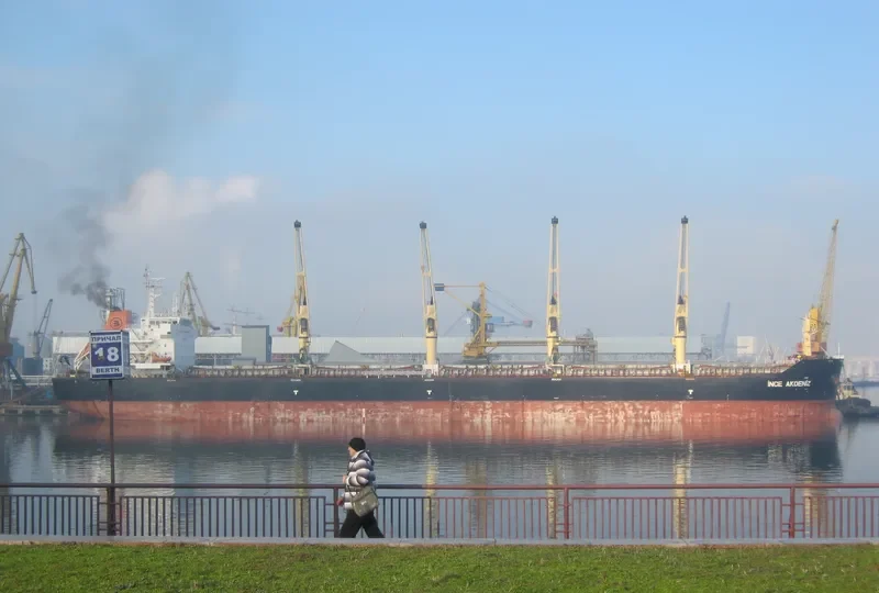 INCE AKDENIZ Bulk Carrier IMO 9456460 photo 2