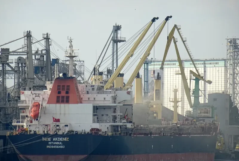 INCE AKDENIZ Bulk Carrier IMO 9456460 photo 3