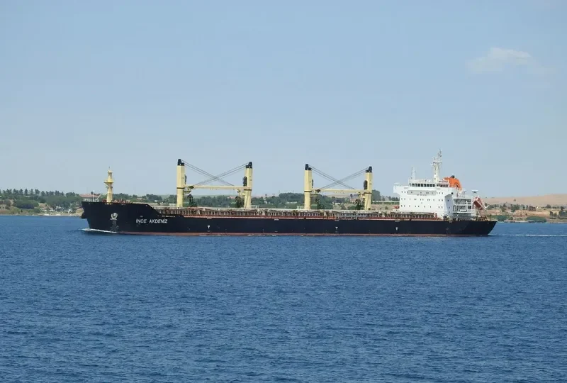 INCE AKDENIZ Bulk Carrier IMO 9456460 photo 5