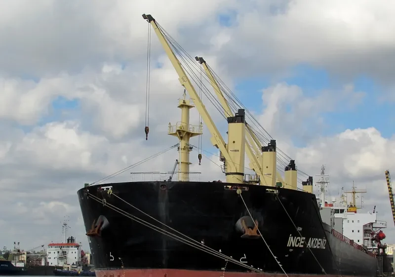 INCE AKDENIZ Bulk Carrier IMO 9456460 photo 6