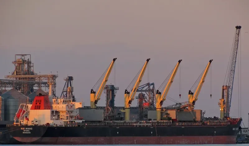 INCE AKDENIZ Bulk Carrier IMO 9456460 photo 7