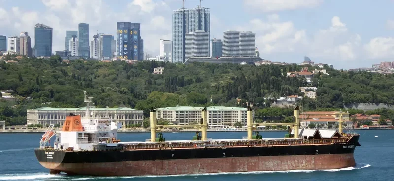 INCE AKDENIZ Bulk Carrier IMO 9456460 photo 8