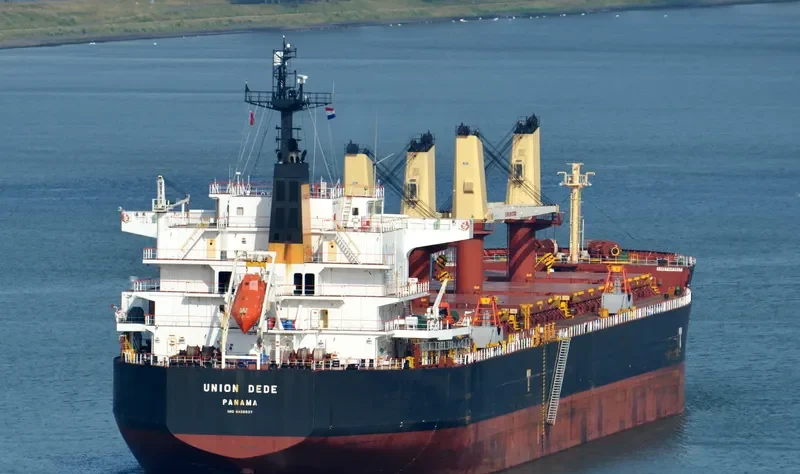 VEGA Bulk Carrier IMO 9456537 photo 3