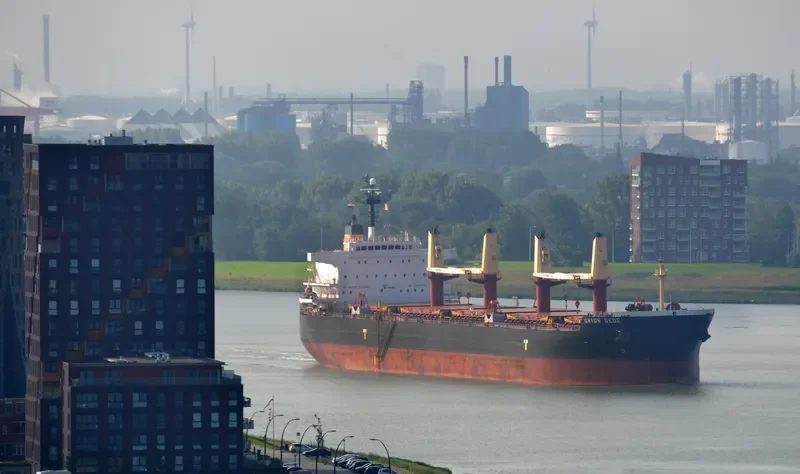 VEGA Bulk Carrier IMO 9456537 photo 4