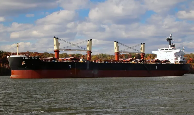 VEGA Bulk Carrier IMO 9456537 photo 6