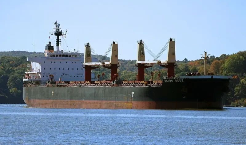 VEGA Bulk Carrier IMO 9456537 photo 7