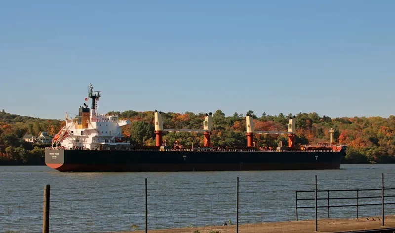 VEGA Bulk Carrier IMO 9456537 photo 8