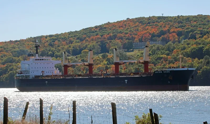 VEGA Bulk Carrier IMO 9456537 photo 9