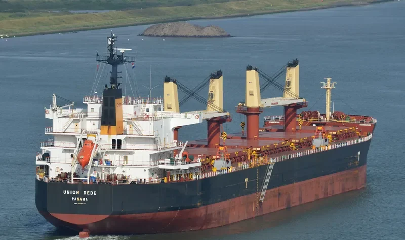 VEGA Bulk Carrier IMO 9456537 photo 10